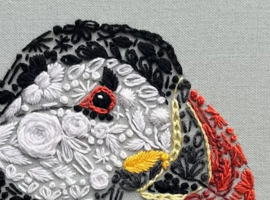 Sea Parrot - Embroidery Kit
