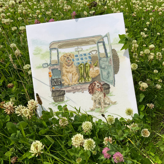 Paws For A Picnic