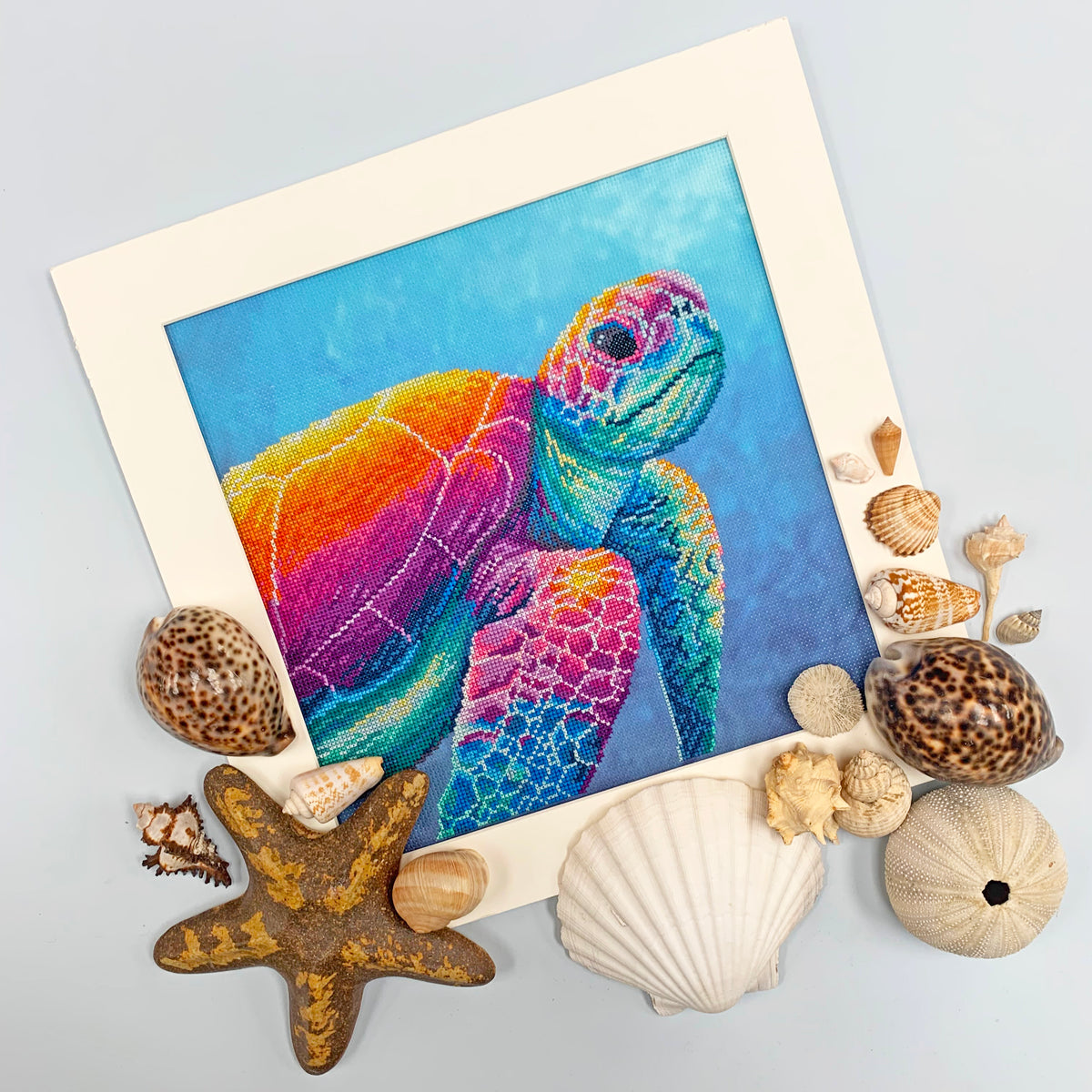 Imagine: The Menagerie Series (Turtle)