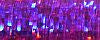 026L - Punchy Purple