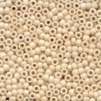 Seed Beads - Size 11 (3000 Series - Antique Finish)