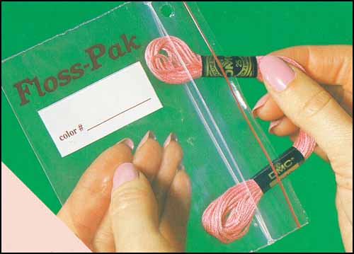 Floss-Pak Storage Bags - 30 Floss Packs