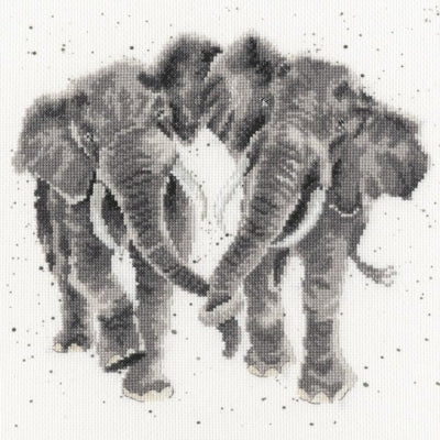 Age Is Irrelephant