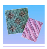Sunlit Stitches
