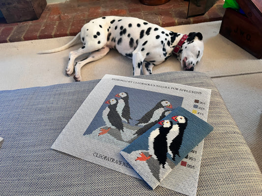Puffin Spectacle Case - Appleton Tapestry Kit