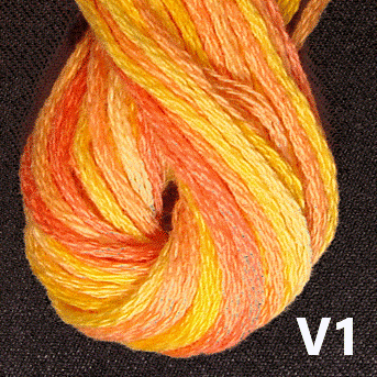 Floss/Overdyed - 6 strand Skein Group 6 (V Collection)
