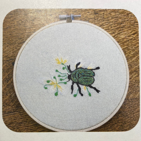 Cétoine - insectes | Insect Hoop Kits: Cetonia Aurata