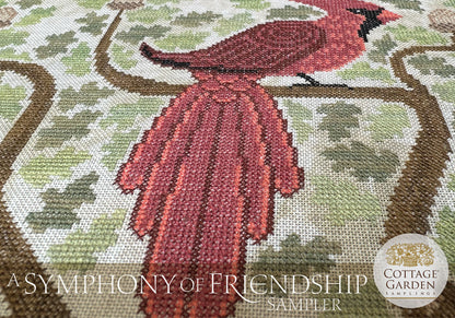 A Symphony of Friendship Sampler