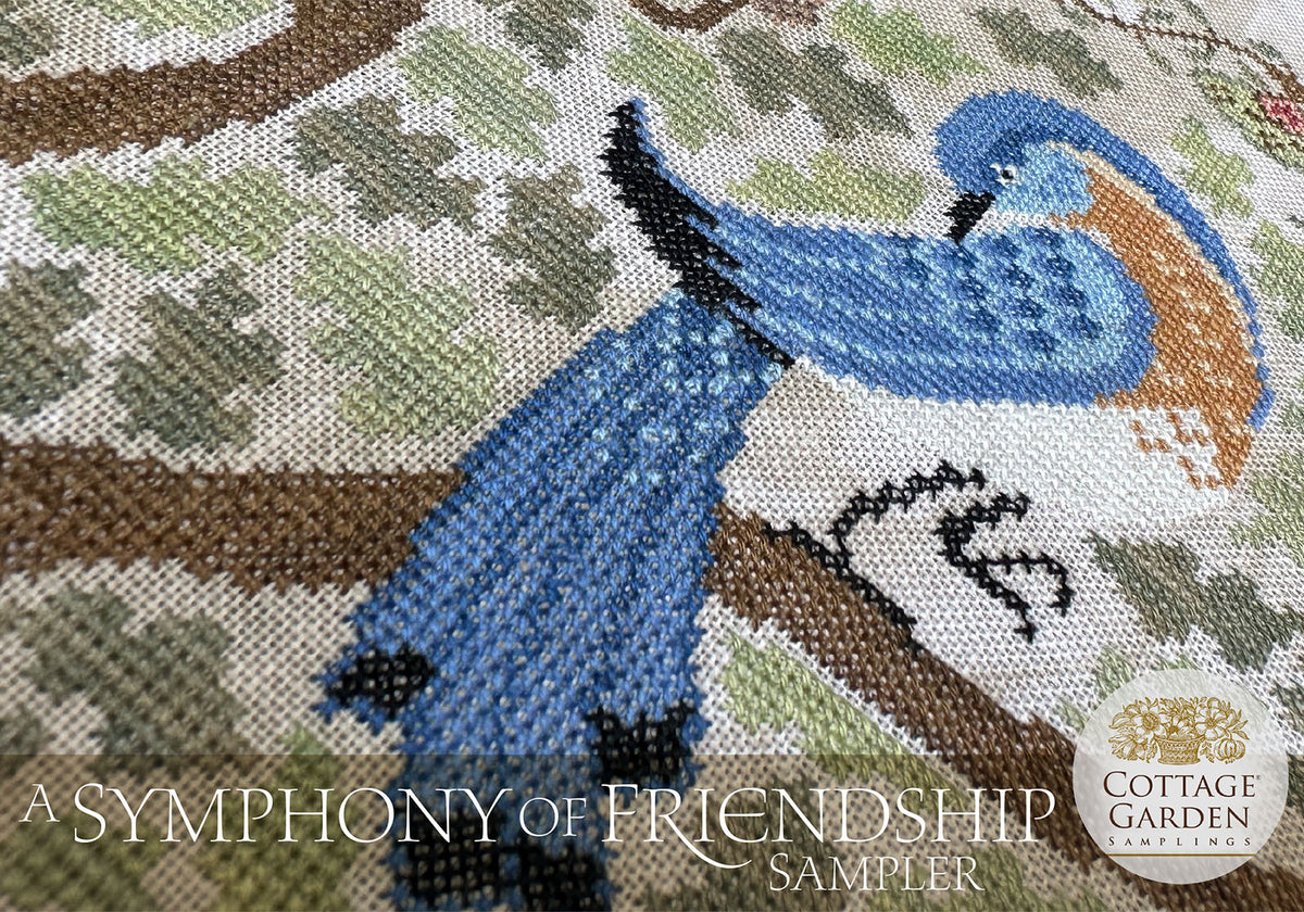 A Symphony of Friendship Sampler