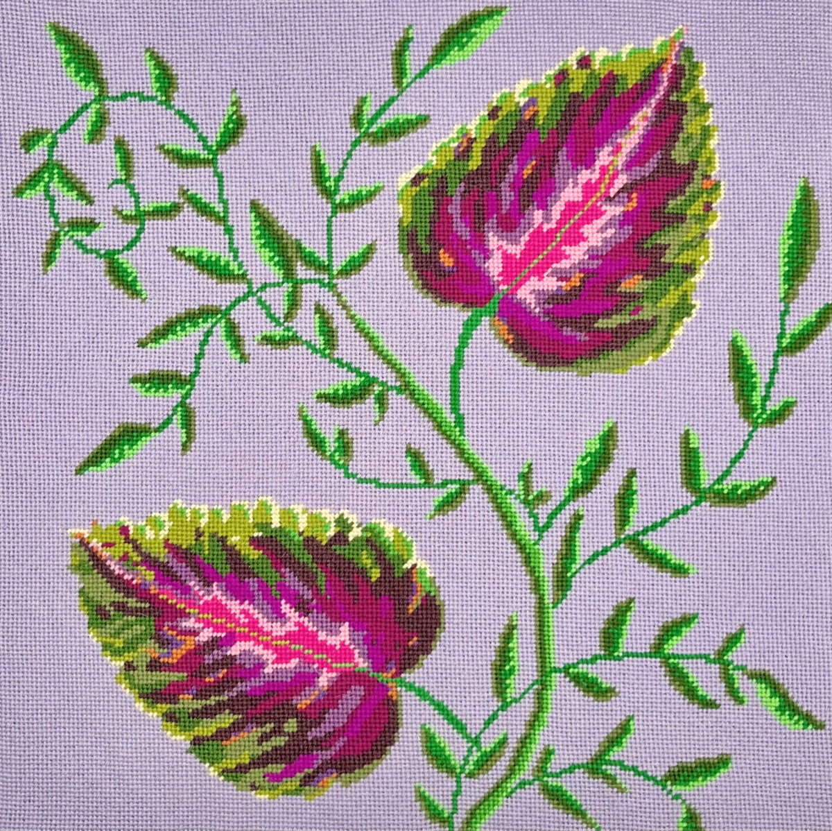 A Fine Vine - Appleton Tapestry Kit