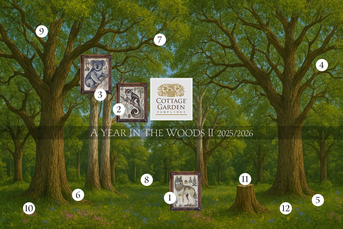 The Koala: A Year in the Woods II # 3