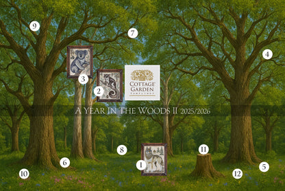 The Koala: A Year in the Woods II # 3