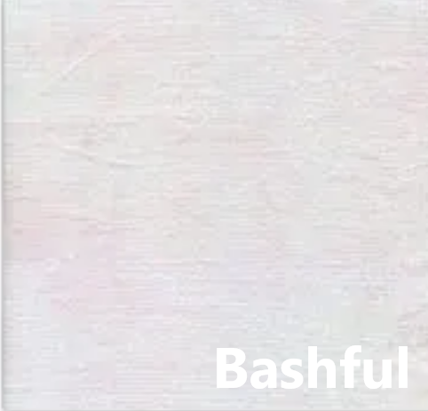 Bashful - Hand Dyed Aida - 20 count