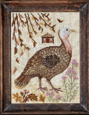 The Turkey: A Year in the Woods II # 5