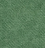 Cactus 2181 - Wool Fabric