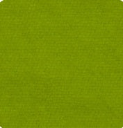 Chartreuse 2203 - Wool Fabric