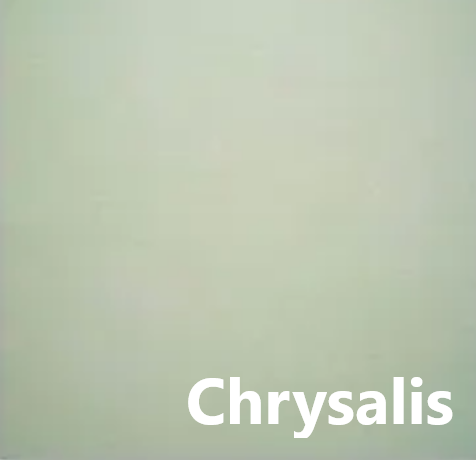 Chrysalis - Hand Dyed Edinburgh Linen - 36 count