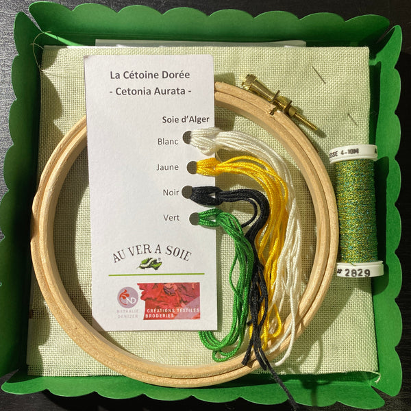 Cétoine - insectes | Insect Hoop Kits: Cetonia Aurata