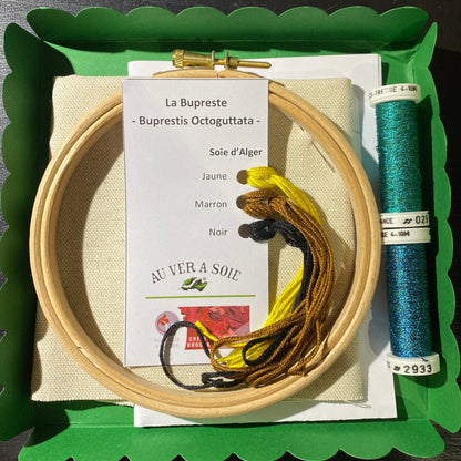 La Bupreste - insectes | Insect Hoop Kits: Buprestis Octoguttata