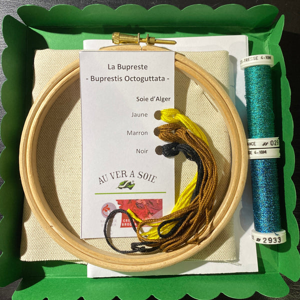 La Bupreste - insectes | Insect Hoop Kits: Buprestis Octoguttata