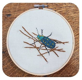 La Bupreste - insectes | Insect Hoop Kits: Buprestis Octoguttata