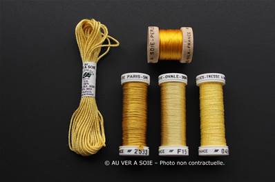Pack Decouverte - Jaune | Yellow (Ovale/de Paris)