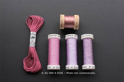 Pack Decouverte - Prune | Plum (Ovale/Surfine)