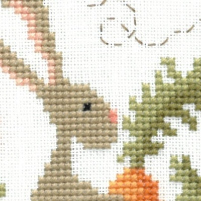 Un Lapin dans mon Jardin | A Rabbit in My Garden