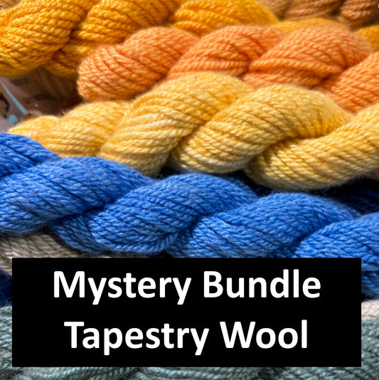 Mystery Thread Bundle - Tapestry Wool