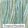 Floss (Classic Colorworks) - Group 3 (P-T range)