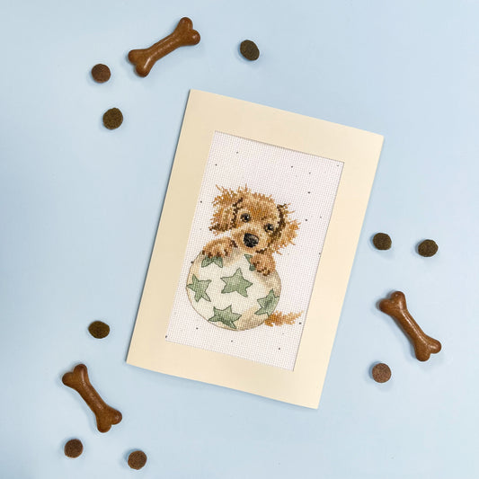 Bouncing Birthday - Greeting Card Kit