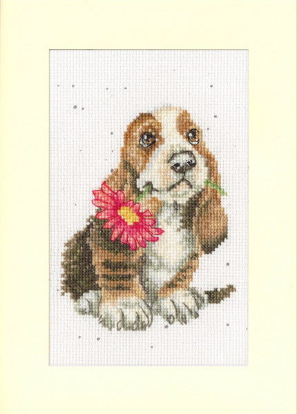 Especially For You - Counted Cross Stitch Book