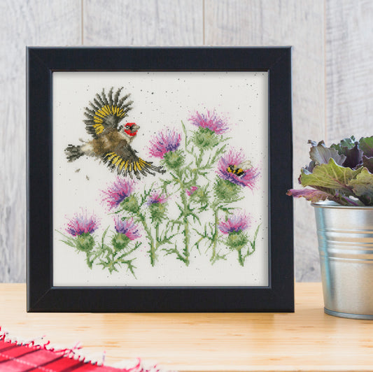 Feathers And Thistles