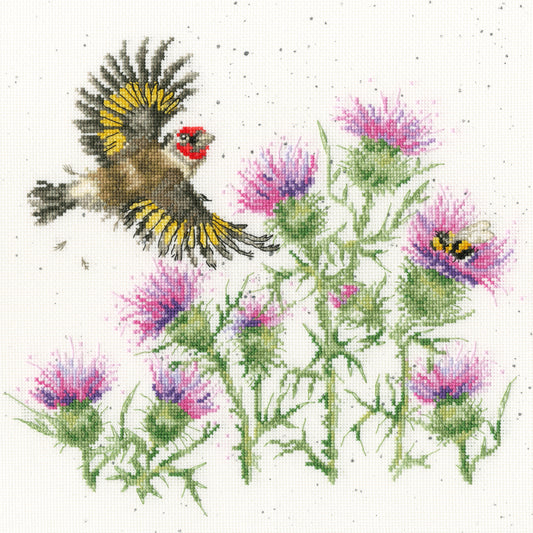 Feathers And Thistles