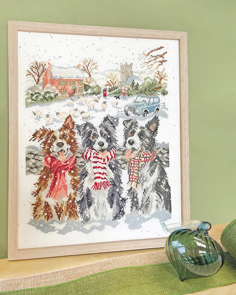 While Shepherds Watched