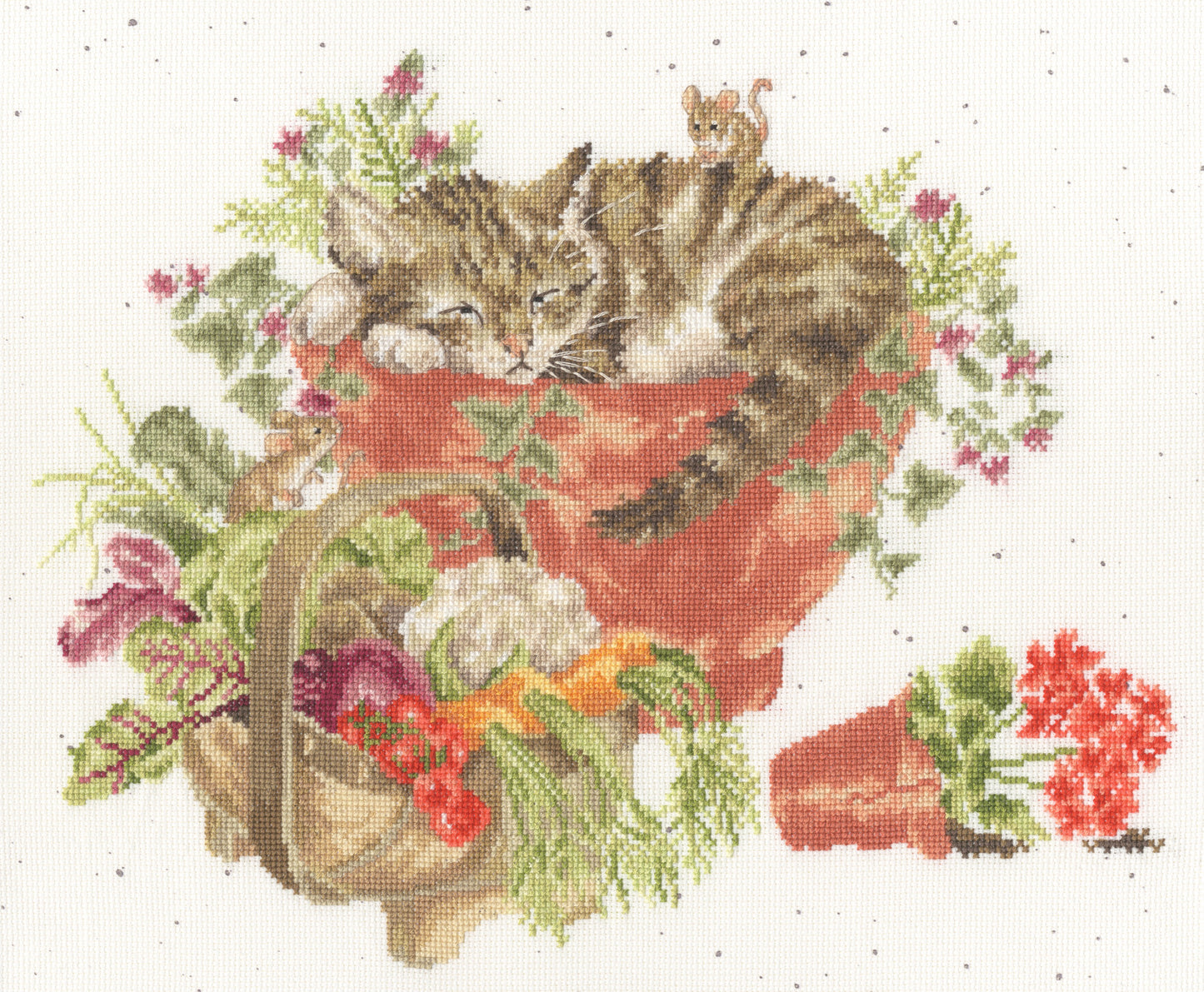 Purrrfect Spot