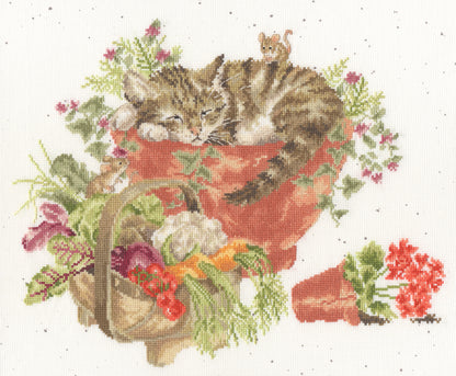 Purrrfect Spot