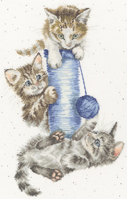 Three's A Crowd (Kittens)