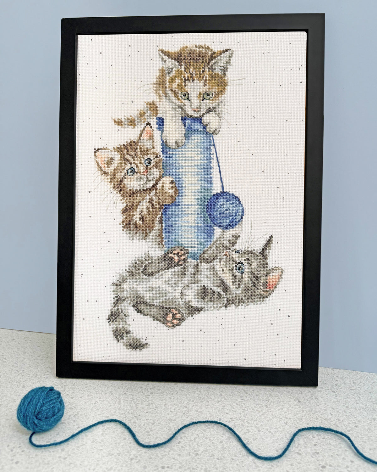 Three's A Crowd (Kittens)