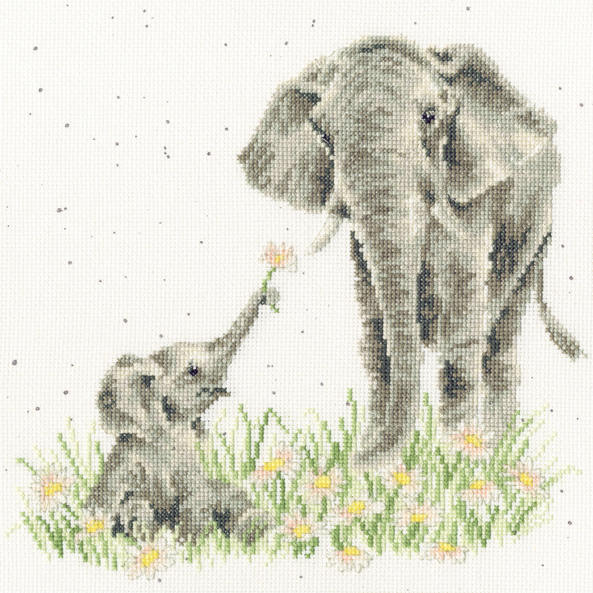 Bloom And Grow (Elephants)