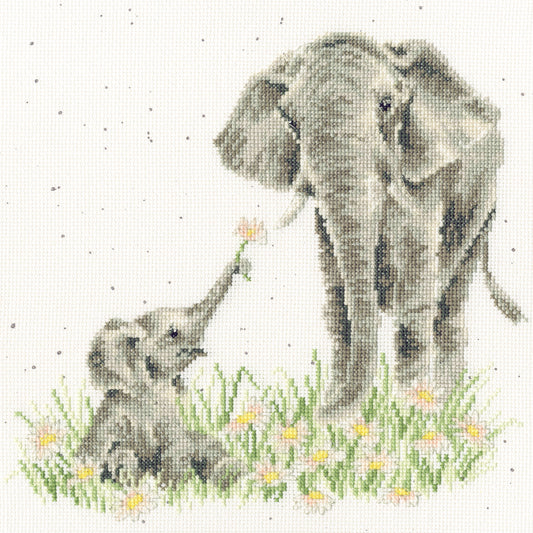 Bloom And Grow (Elephants)