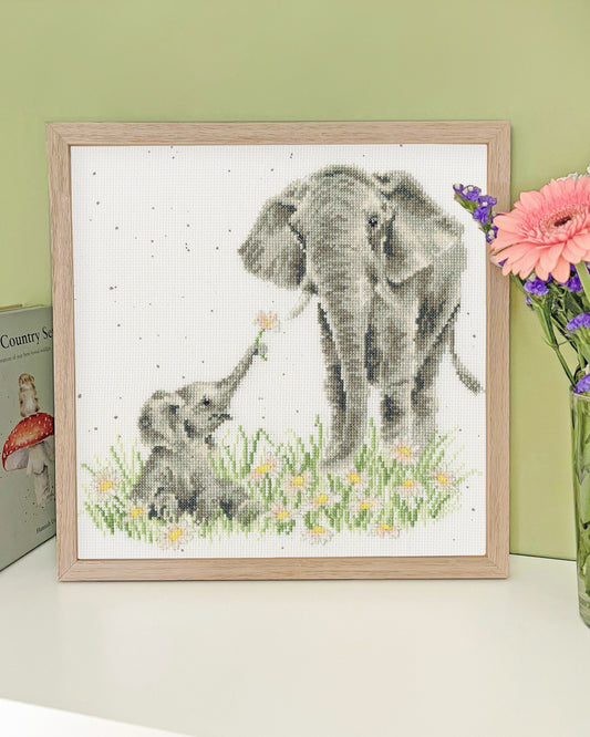 Bloom And Grow (Elephants)