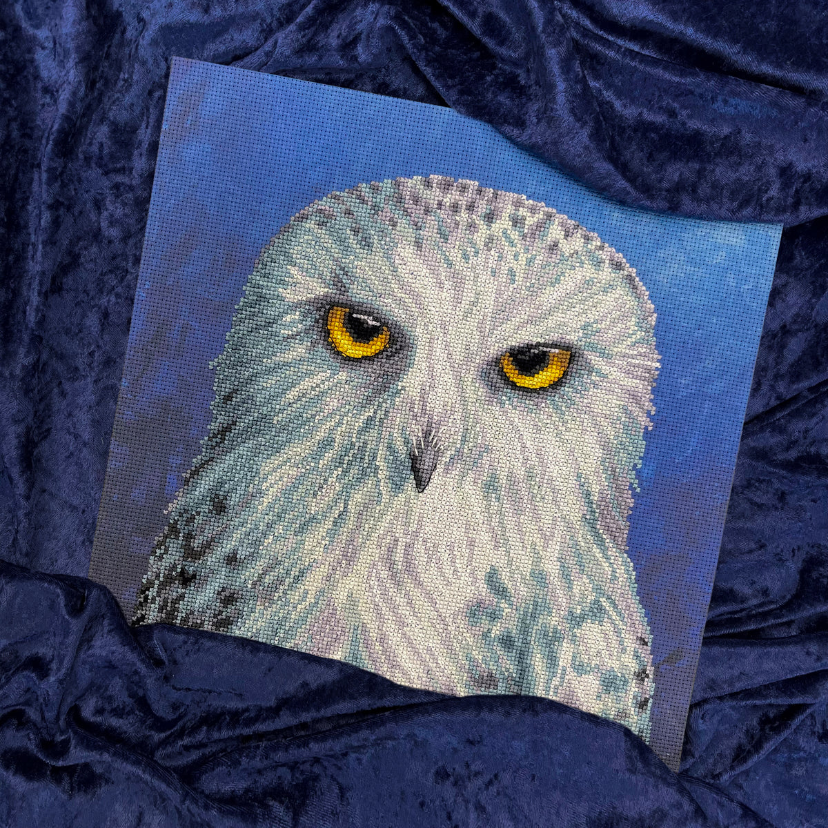 Wisdom: The Menagerie Series (Owl)