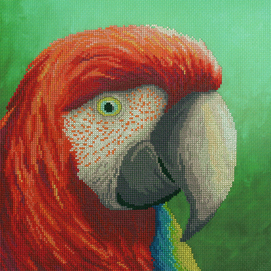 Vision: The Menagerie Series (Parrot)