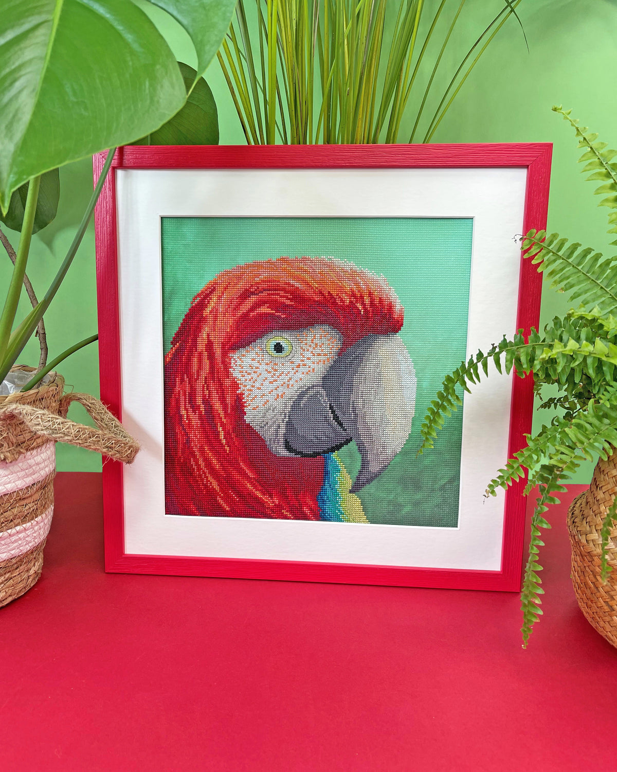 Vision: The Menagerie Series (Parrot)