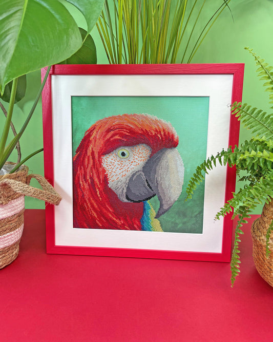 Vision: The Menagerie Series (Parrot)