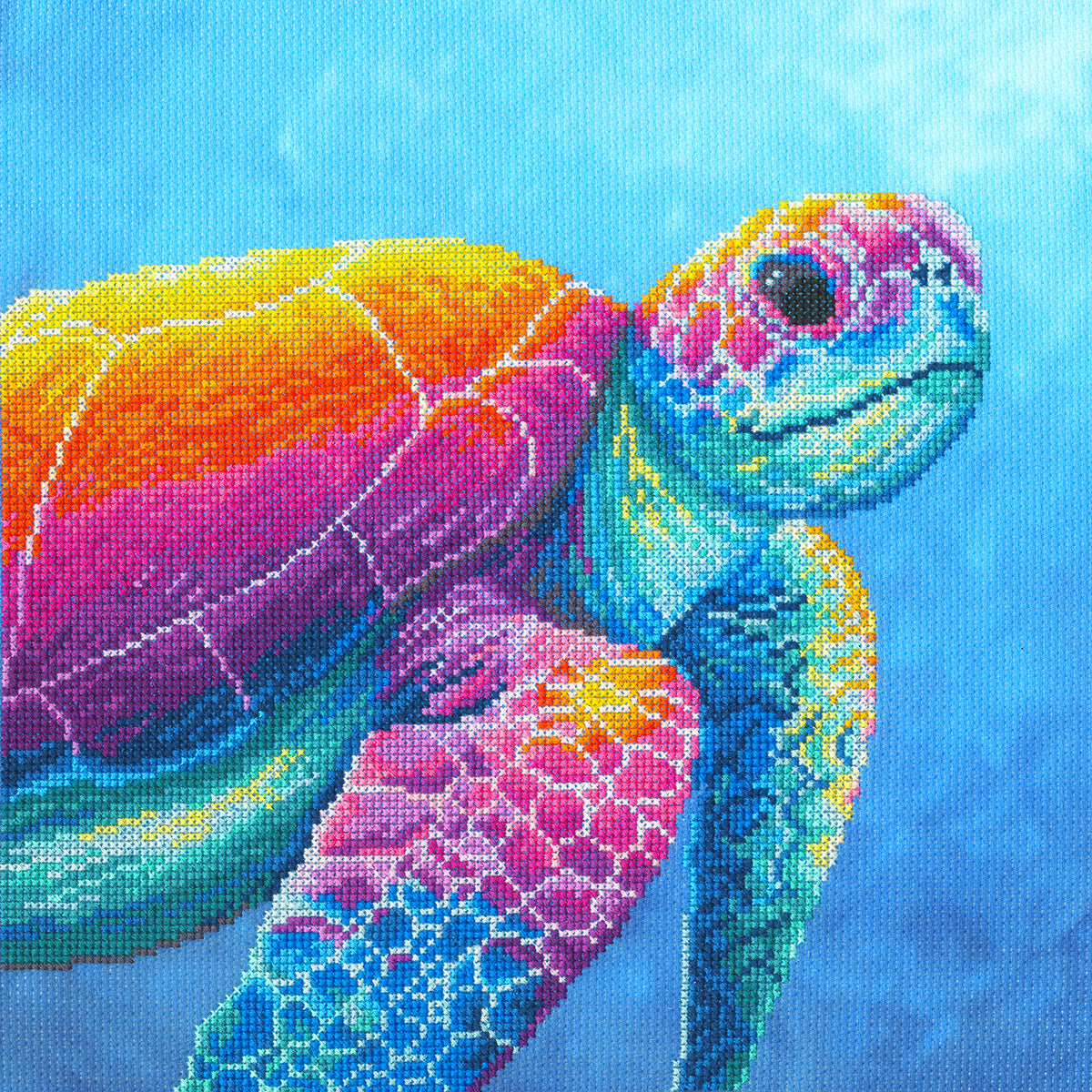 Imagine: The Menagerie Series (Turtle)