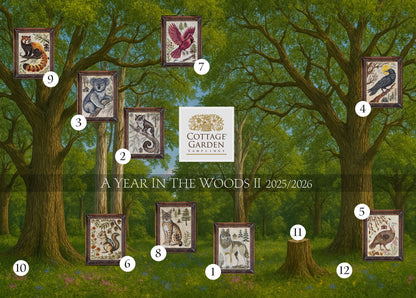The Red Panda: A Year in the Woods II # 9