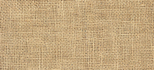 Parchment 1110 - Hand Dyed Belfast Linen - 32 count