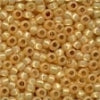 Seed Beads - Size 8 (8/0)